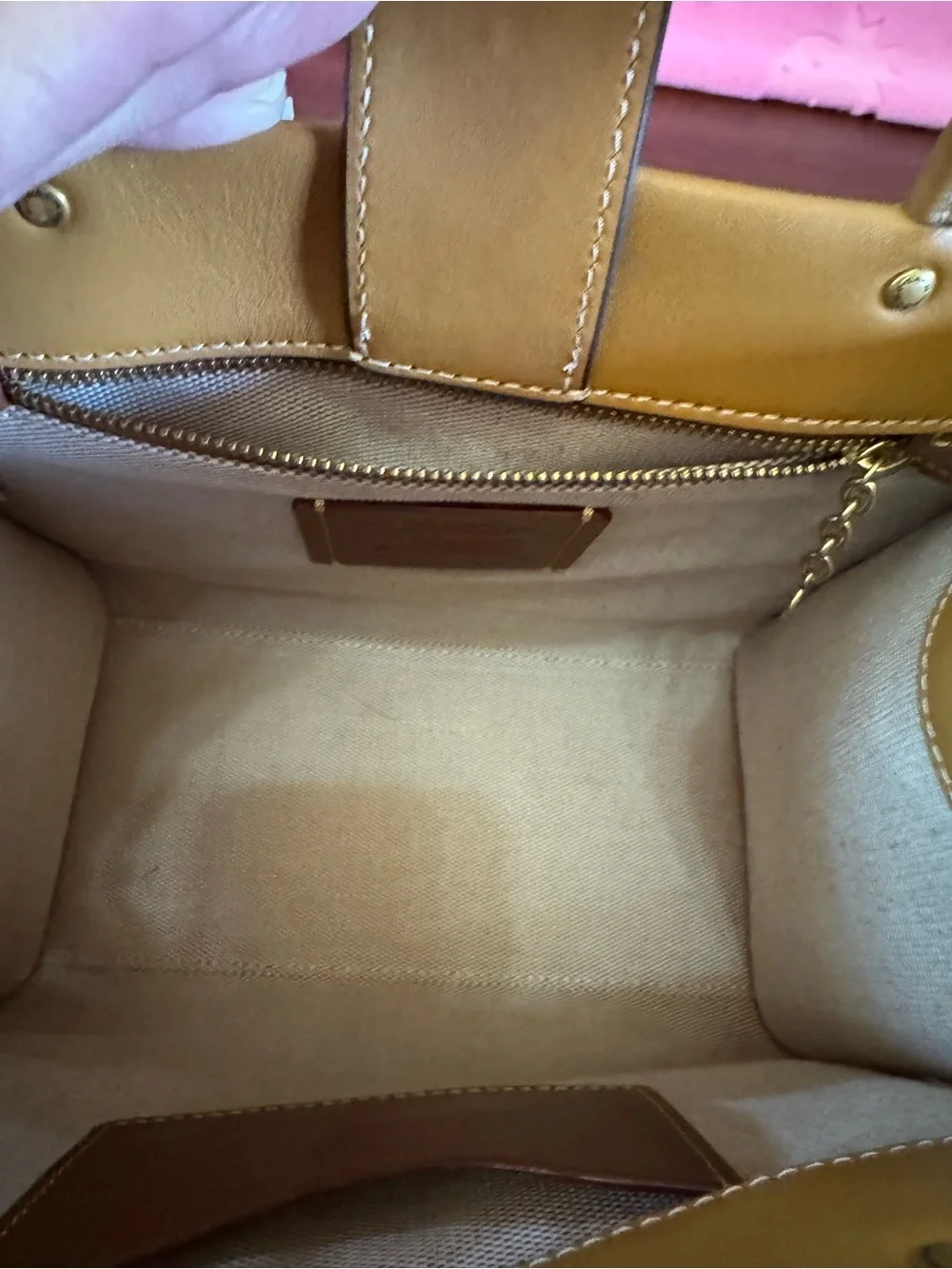 NWT Coach Glove-Tanned Leather Scenic Tote - Central Park Bridge & River. Rare - Picture 5 of 8